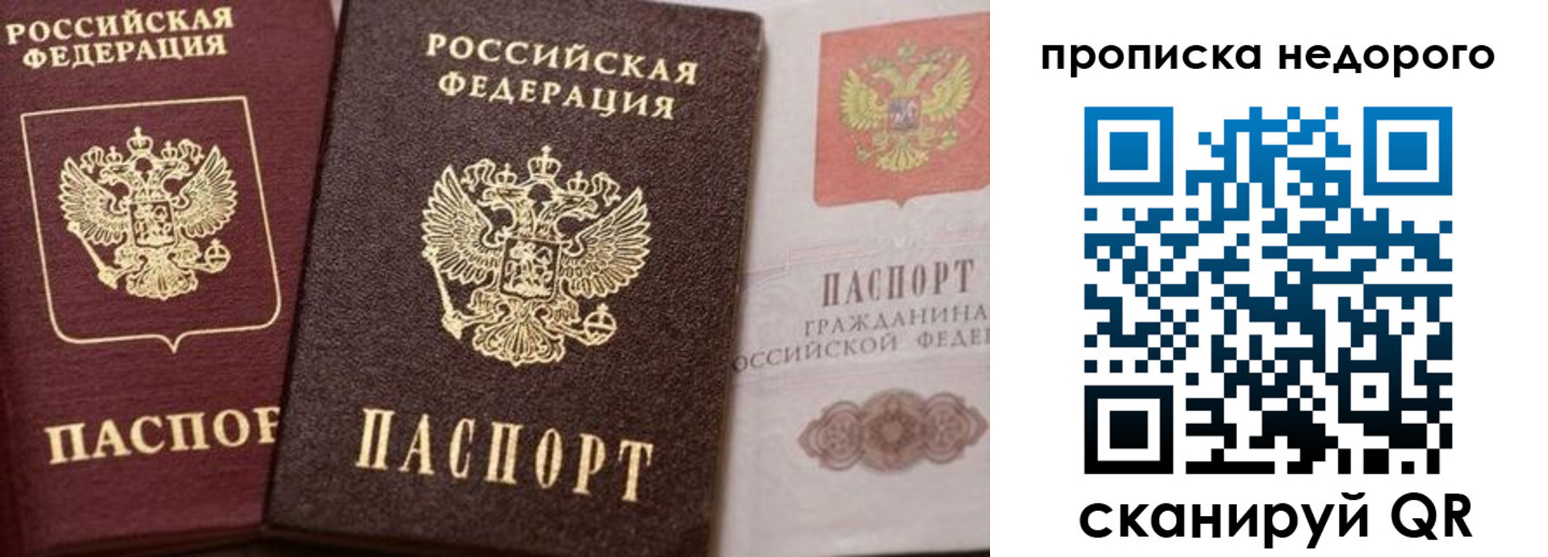 временная регистрация надежно в Мурманской области